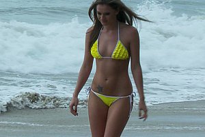 1级黃片动物交配